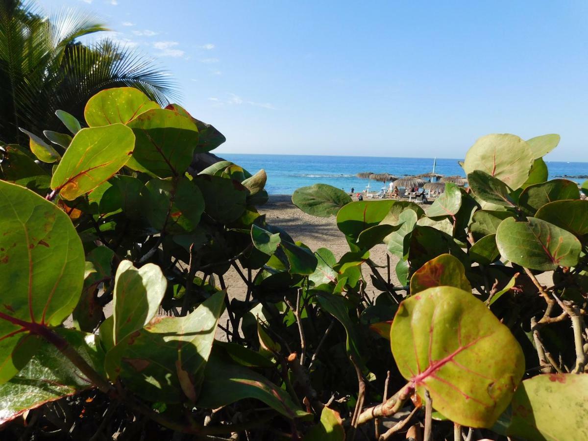 Brisas Del Mar Apartment Costa Adeje  Ngoại thất bức ảnh